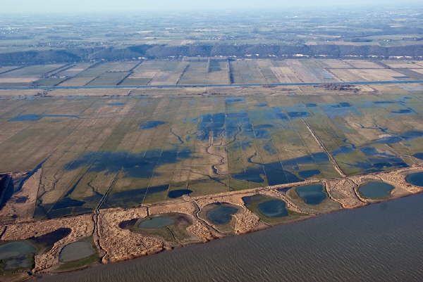 Rserve naturelle de l'Estuaire de la Seine