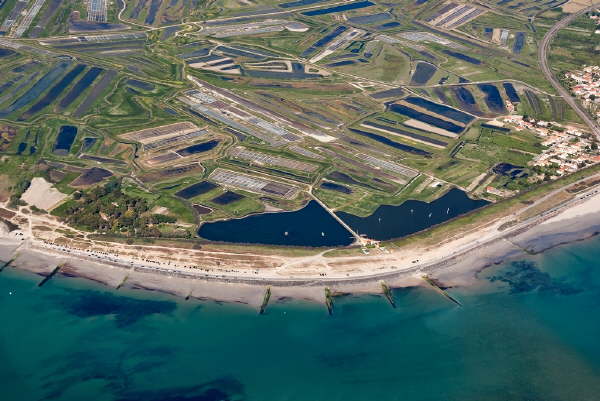 Noirmoutier