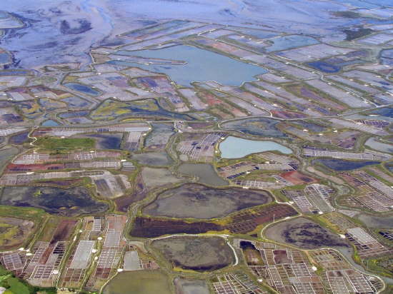 couleurs incroyables dans les marais salants de Gurande