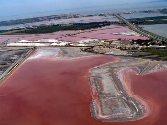 Aigues-Mortes (les Salins)