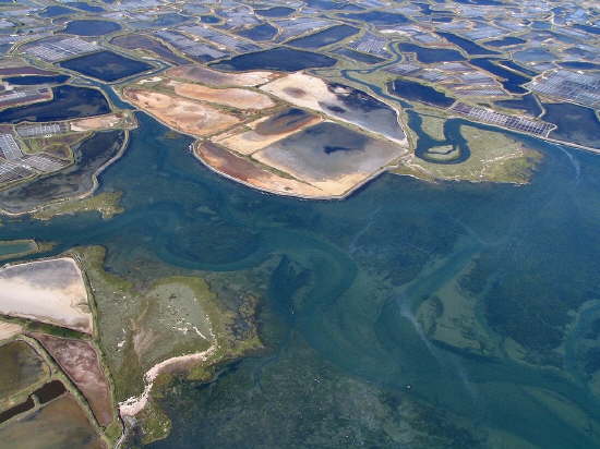 Marais salants de Gurande